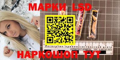 apvp Гатчина