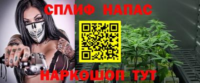 apvp Гатчина
