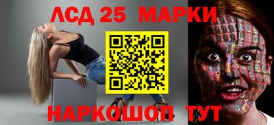 дмт Гай