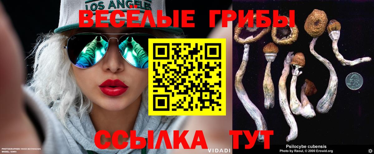 Курчалой  Псилоцибиновые грибы GOLDEN TEACHER  Вход с VPN 